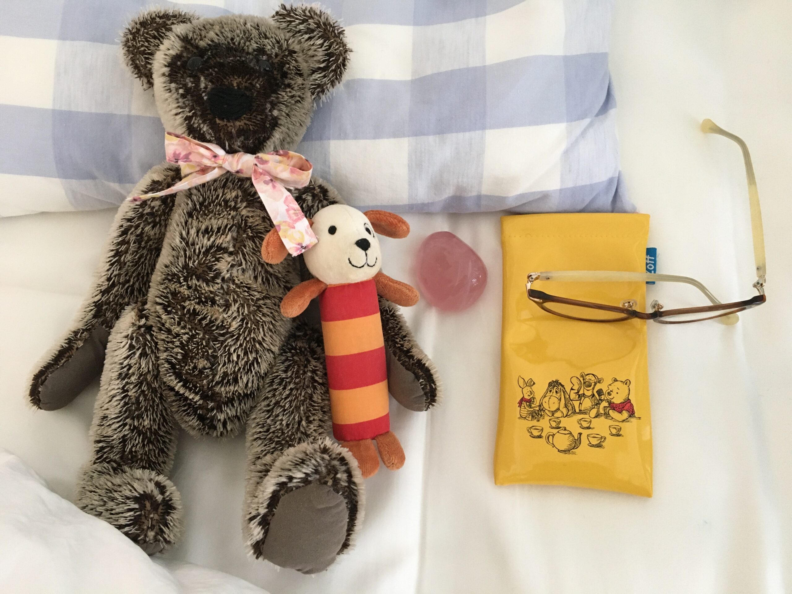 愛犬そっくりのテディベアを作る